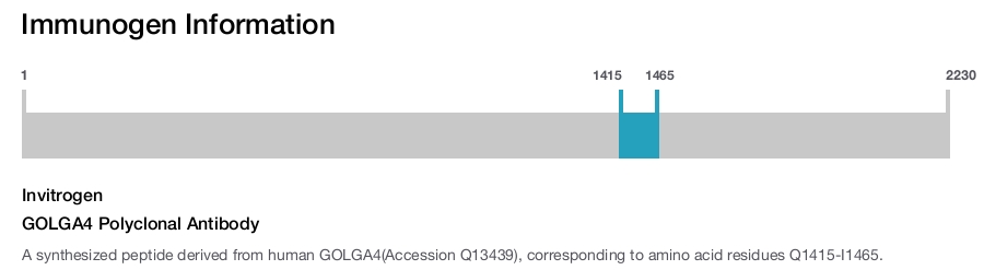 GOLGA4 Polyclonal Antibody