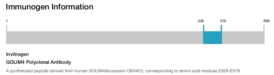 GOLIM4 Polyclonal Antibody