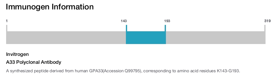 A33 Polyclonal Antibody