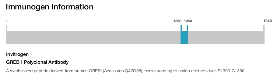 GREB1 Polyclonal Antibody