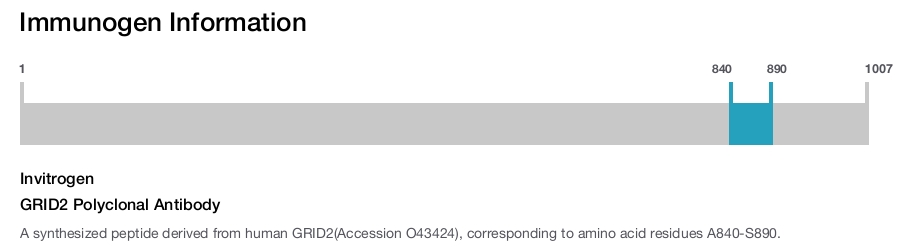 GRID2 Polyclonal Antibody