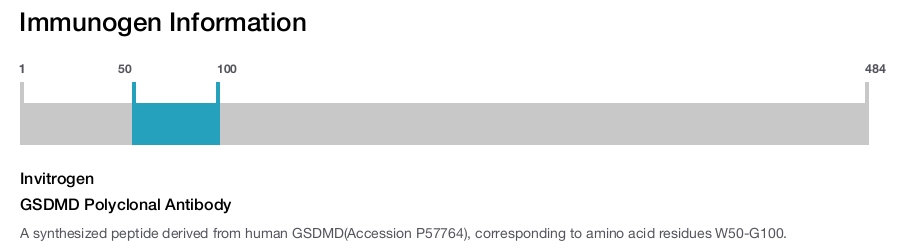 GSDMD Polyclonal Antibody