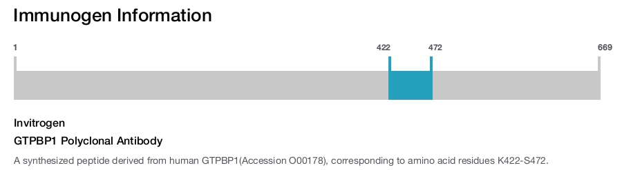 GTPBP1 Polyclonal Antibody