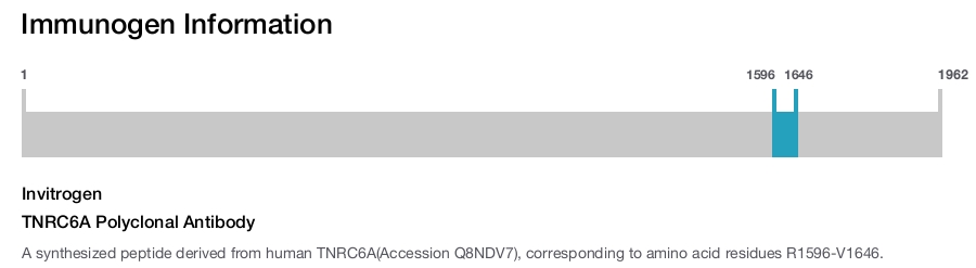 TNRC6A Polyclonal Antibody