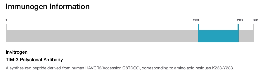 TIM-3 Polyclonal Antibody