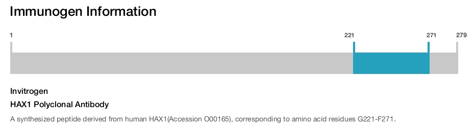 HAX1 Polyclonal Antibody