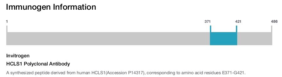 HCLS1 Polyclonal Antibody