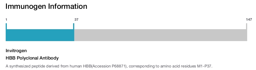 HBB Polyclonal Antibody