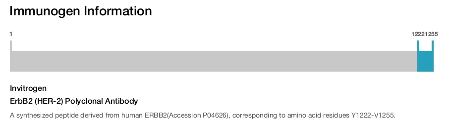 ErbB2 (HER-2) Polyclonal Antibody