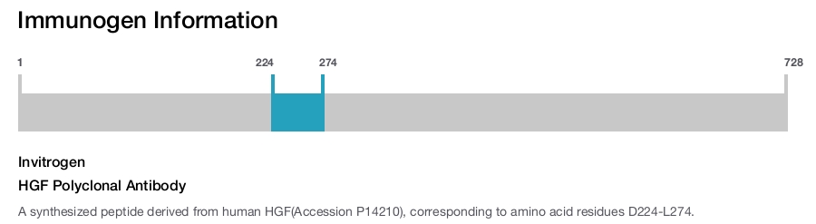 HGF Polyclonal Antibody