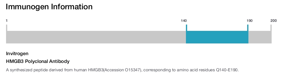HMGB3 Polyclonal Antibody