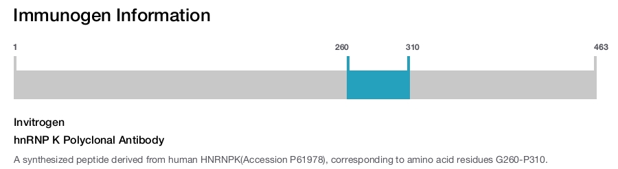 hnRNP K Polyclonal Antibody