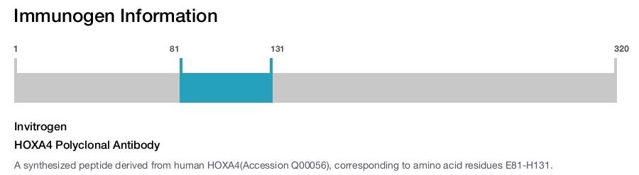 HOXA4 Polyclonal Antibody