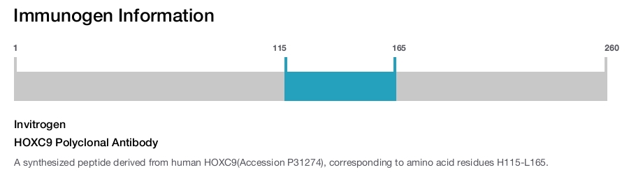 HOXC9 Polyclonal Antibody