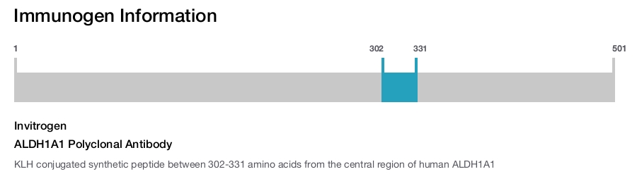 ALDH1A1 Polyclonal Antibody