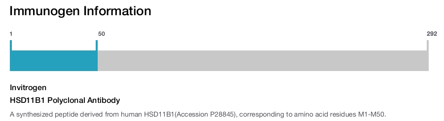 HSD11B1 Polyclonal Antibody