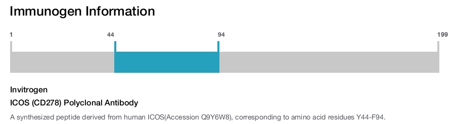 ICOS (CD278) Polyclonal Antibody