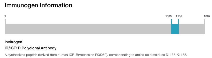 IR/IGF1R Polyclonal Antibody