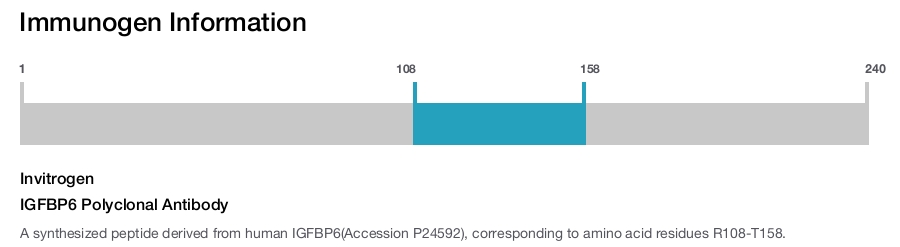 IGFBP6 Polyclonal Antibody