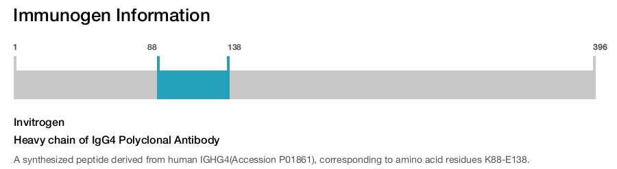 Heavy chain of IgG4 Polyclonal Antibody