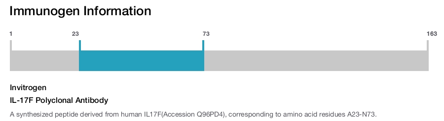 IL-17F Polyclonal Antibody