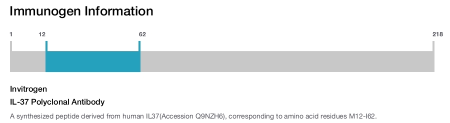 IL-37 Polyclonal Antibody