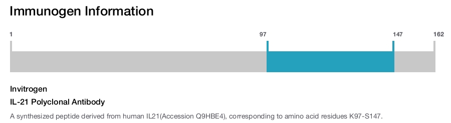 IL-21 Polyclonal Antibody