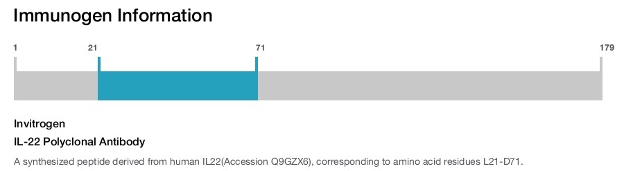 IL-22 Polyclonal Antibody
