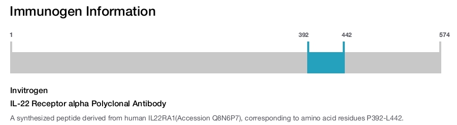 IL-22 Receptor alpha Polyclonal Antibody