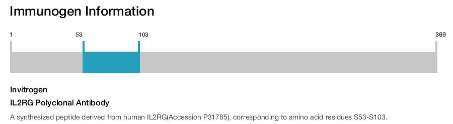 IL2RG Polyclonal Antibody