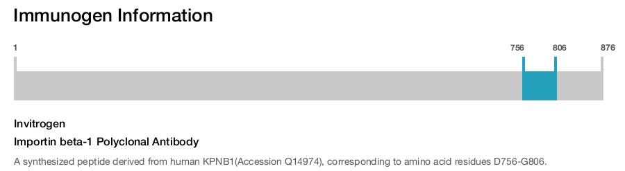 Importin beta-1 Polyclonal Antibody