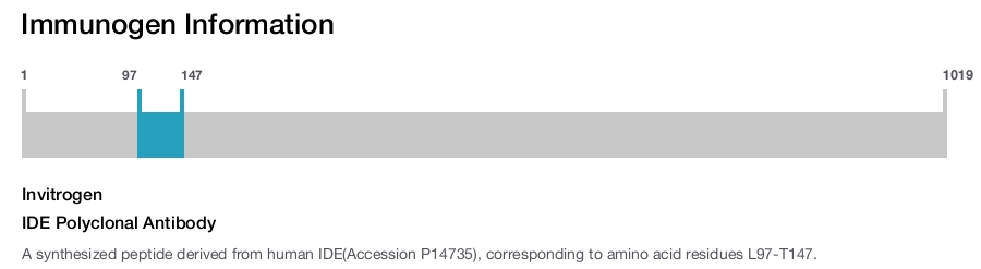 IDE Polyclonal Antibody