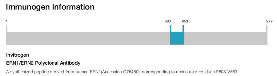 ERN1/ERN2 Polyclonal Antibody