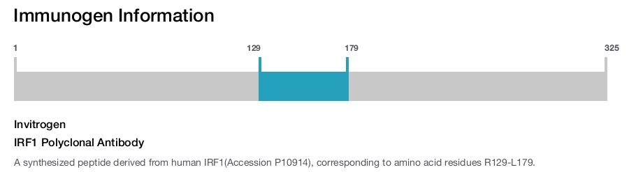 IRF1 Polyclonal Antibody