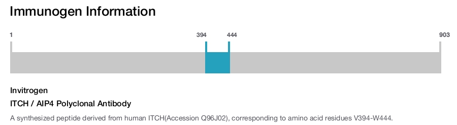 ITCH / AIP4 Polyclonal Antibody