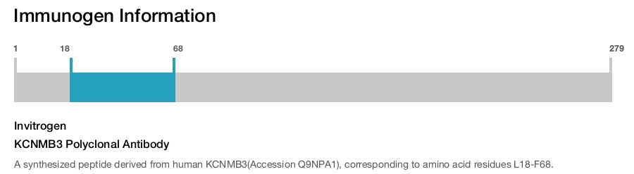 KCNMB3 Polyclonal Antibody
