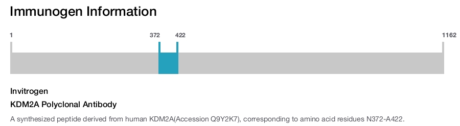 KDM2A Polyclonal Antibody