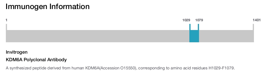 KDM6A Polyclonal Antibody