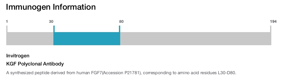 KGF Polyclonal Antibody