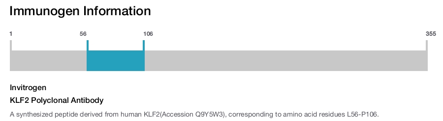 KLF2 Polyclonal Antibody