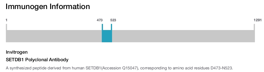 SETDB1 Polyclonal Antibody