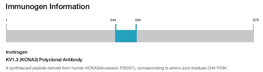 KV1.3 (KCNA3) Polyclonal Antibody