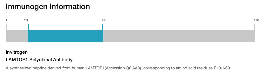 LAMTOR1 Polyclonal Antibody