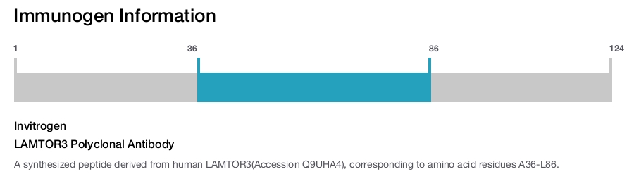 LAMTOR3 Polyclonal Antibody
