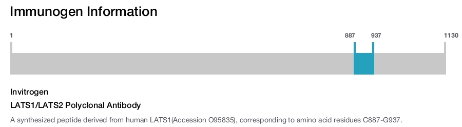 LATS1/LATS2 Polyclonal Antibody