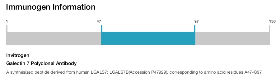 Galectin 7 Polyclonal Antibody