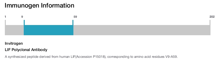 LIF Polyclonal Antibody