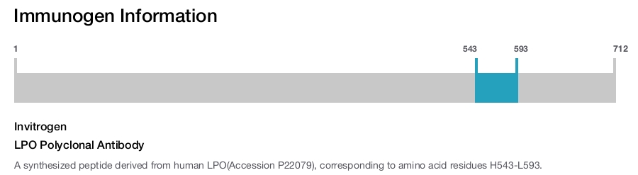 LPO Polyclonal Antibody