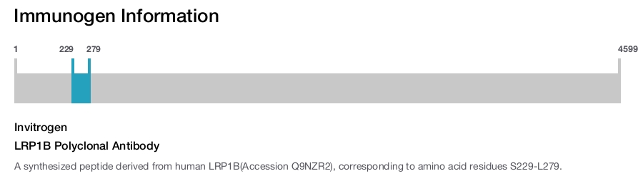 LRP1B Polyclonal Antibody