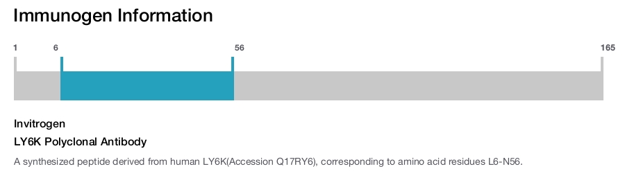 LY6K Polyclonal Antibody